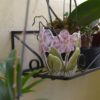 Porta-pincéis Orquídea % - Imagem 8