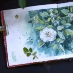 Workshops de aquarela e gouache em Foz do Iguaçu